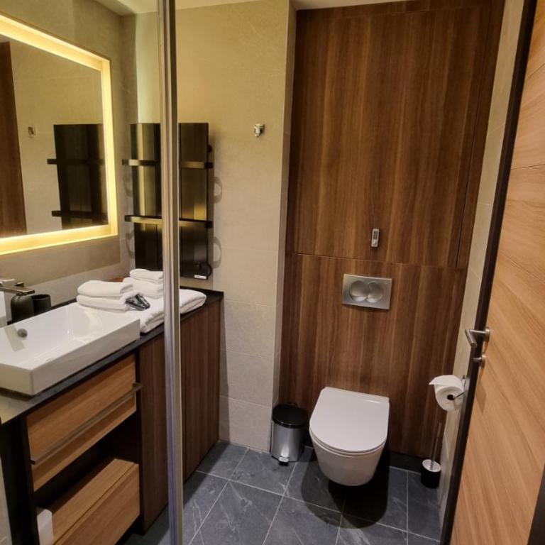 Woodside Apartments Kopaonik centar - Superior Studio - 2