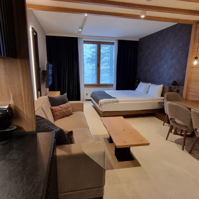 Woodside Apartments Kopaonik centar - Superior Studio - 9