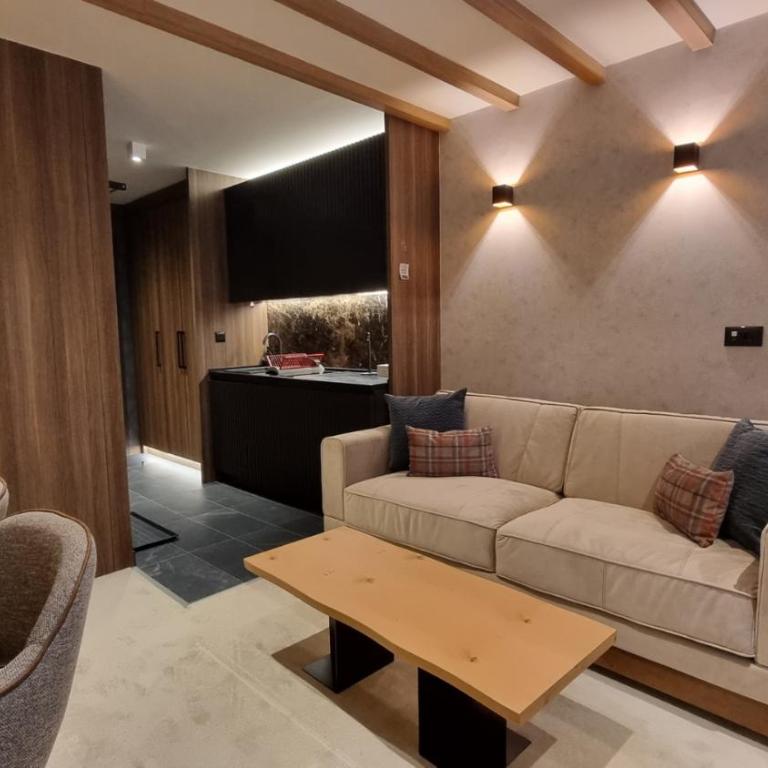 Woodside Apartments Kopaonik centar - Superior Studio - 3