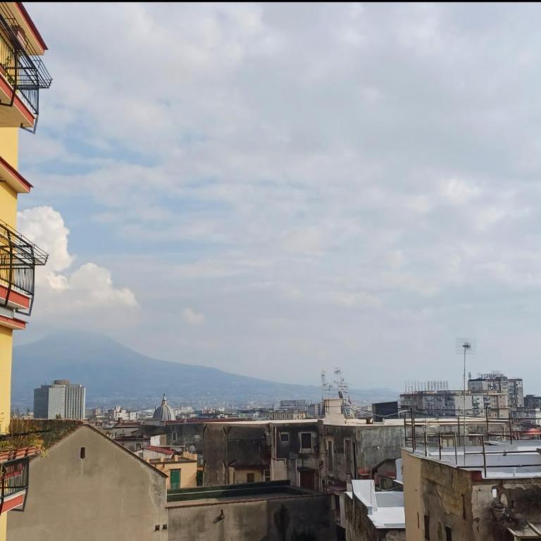 Vesuvio&Partenope - Superior Apartment with City View - 64