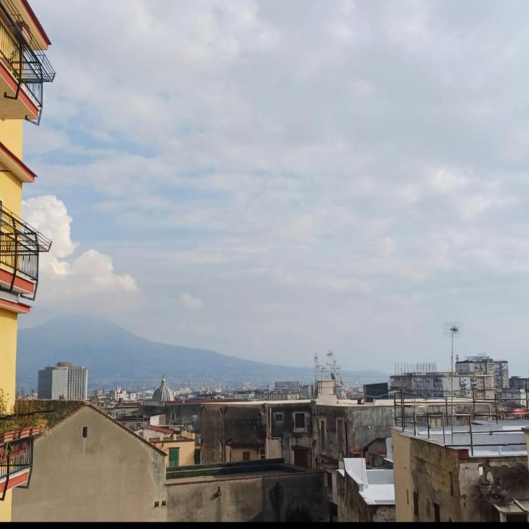 Vesuvio&Partenope - Superior Apartment with City View - 61