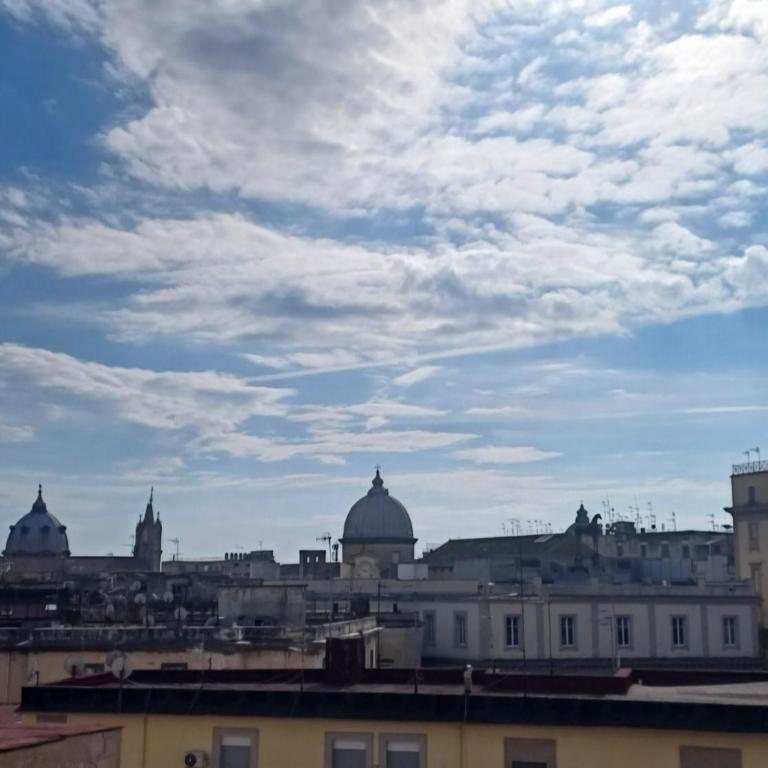 Vesuvio&Partenope - Superior Apartment with City View - 58