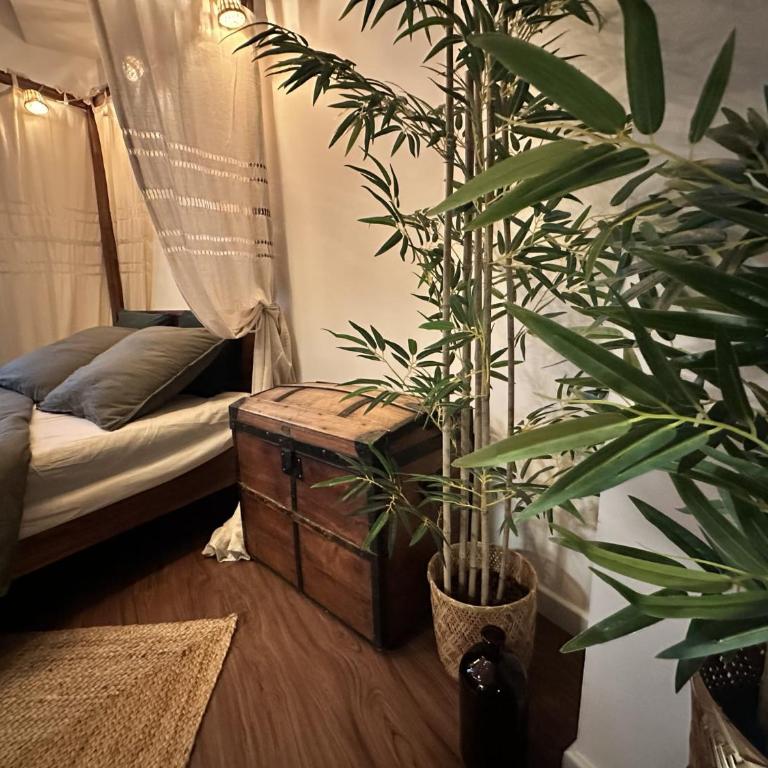 Jungle Fever , évasion nature et balnéo - Chambre Double - 2