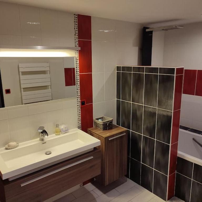 Grand T2 lumineux avec parking - Appartement 1 Chambre - 3