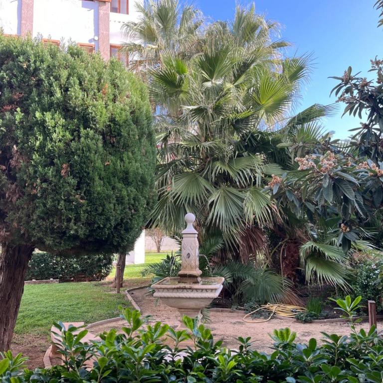 Wind Rose Study Xàbia - Apartamento de 1 dormitorio - 19