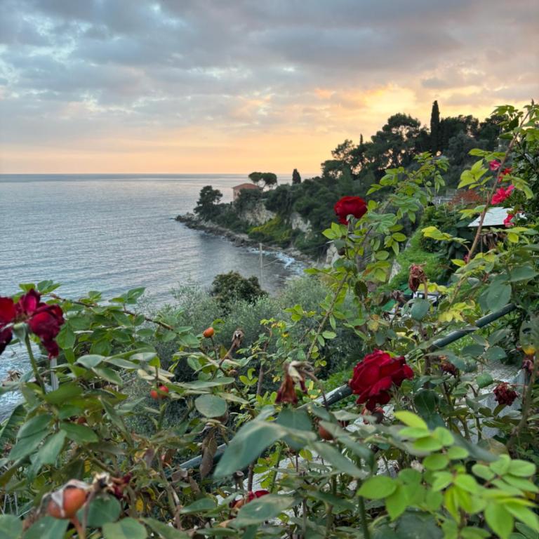 Appartamento un mare di fiori - Appartamento con Terrazza - 5