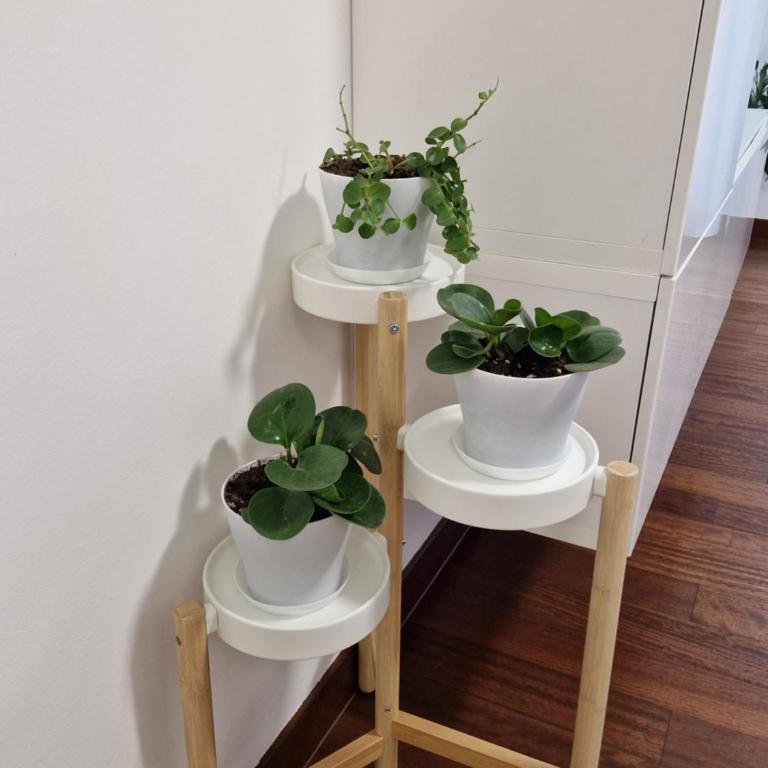 La Casa di Vale Muse - Appartamento con 1 Camera da Letto - 24