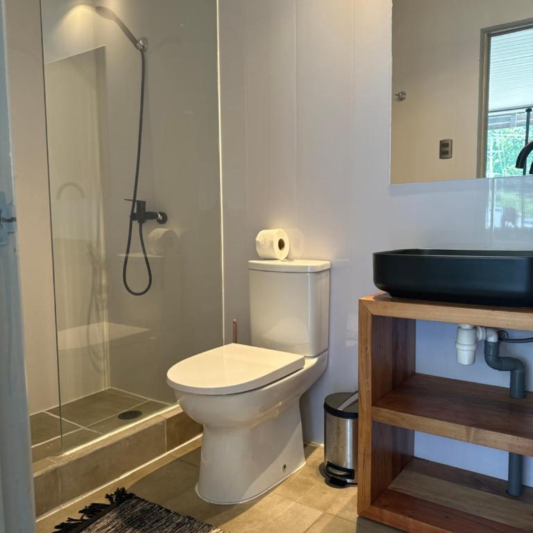 Cabañas y Domos Liquiñe - Deluxe Double or Twin Room - 11