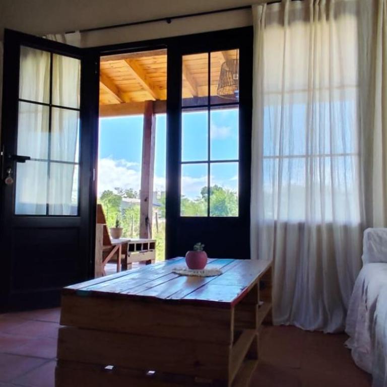 Alebrijescalamuchita - Apartamento de 1 dormitorio - 8