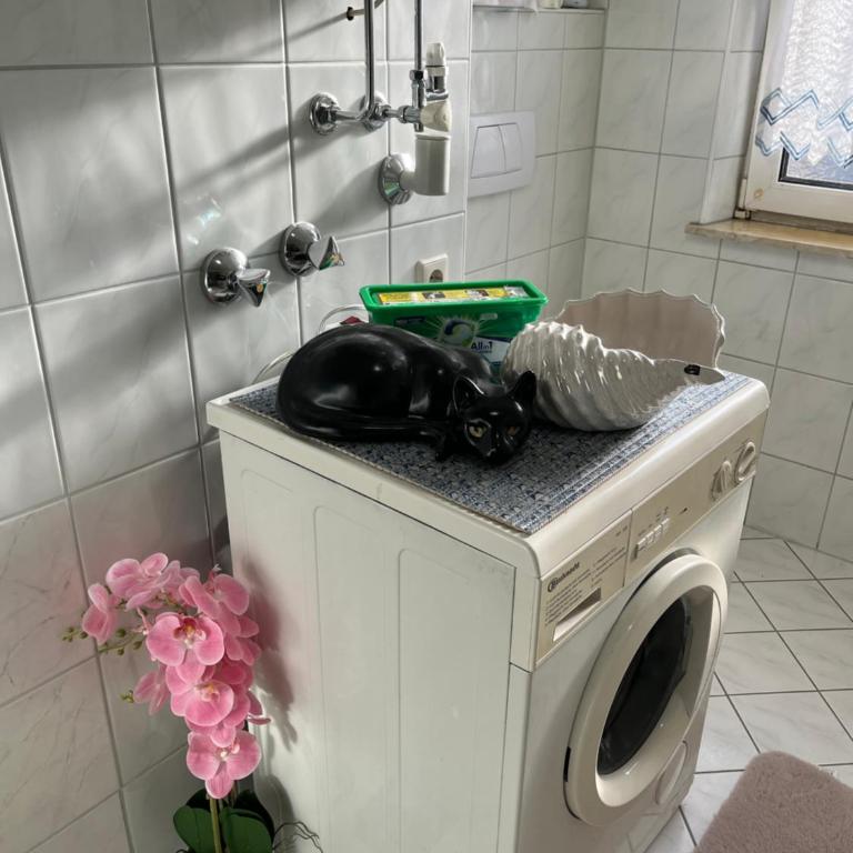 Gemütliche Stadtwohnung Leoben, Gratis Parkplätze - Apartment mit 1 Schlafzimmer - 10