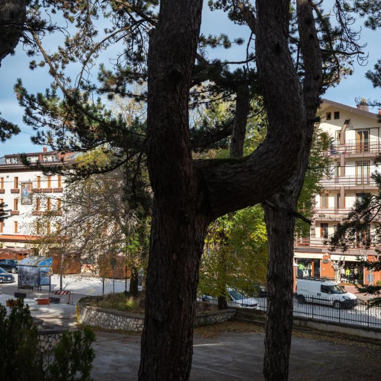 Sendy Home Roccaraso 1 - Apartamento de 1 dormitorio - 24