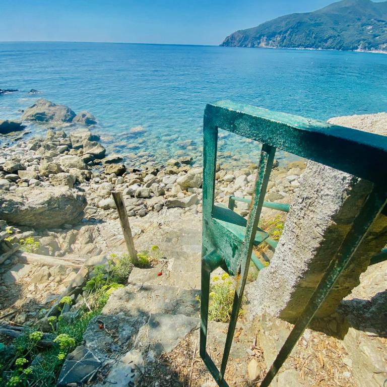 il Nido sul mare con accesso diretto alla spiaggia - Casa Vacanze - 73