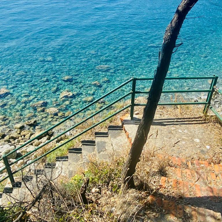 il Nido sul mare con accesso diretto alla spiaggia - Casa Vacanze - 72