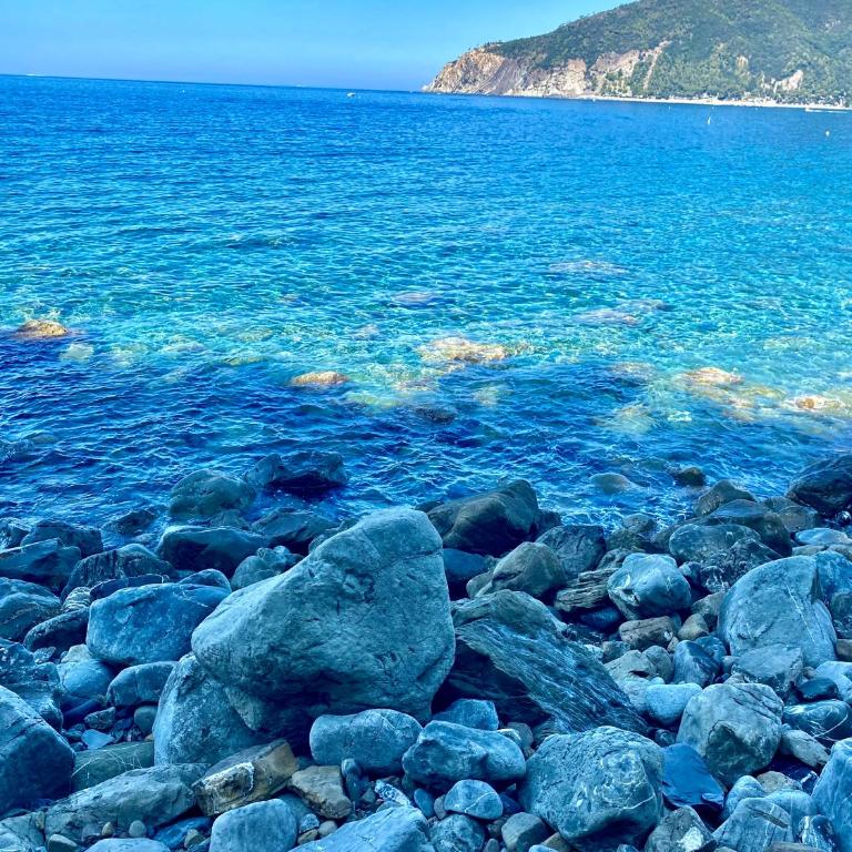 il Nido sul mare con accesso diretto alla spiaggia - Casa Vacanze - 78