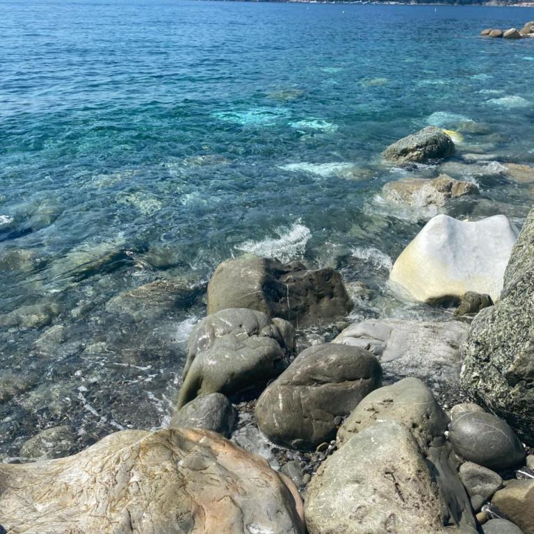 il Nido sul mare con accesso diretto alla spiaggia - Casa Vacanze - 76