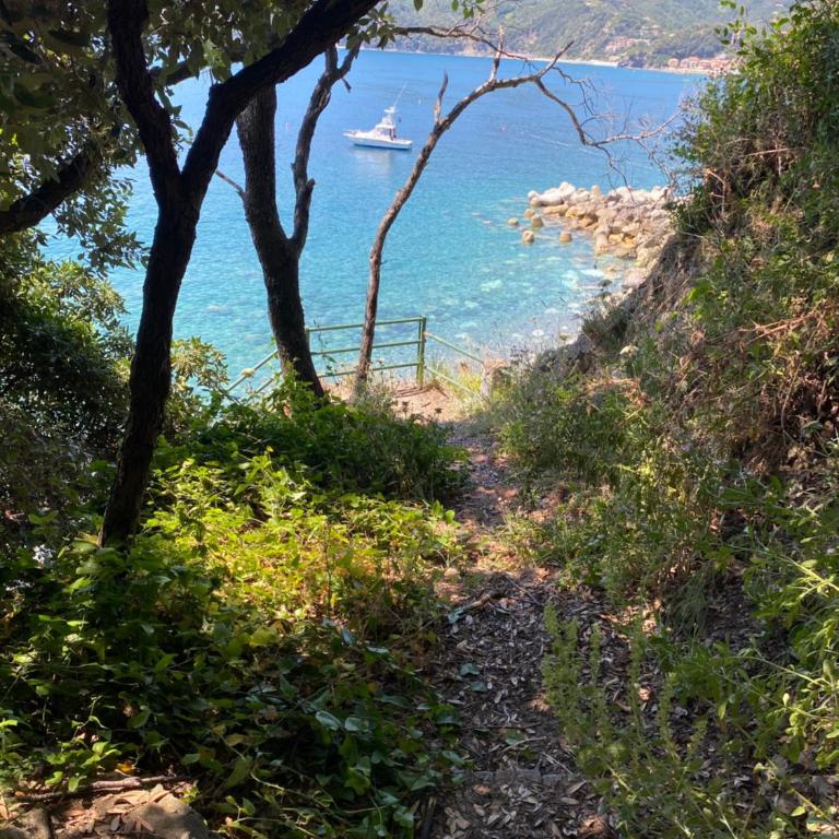 il Nido sul mare con accesso diretto alla spiaggia - Casa Vacanze - 75
