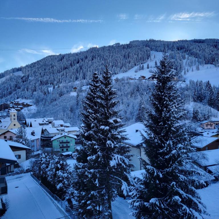Haus Ortsblick - Apartment mit 1 Schlafzimmer, Balkon und Bergblick - 5