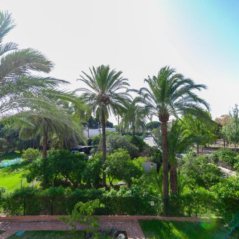 Moderno estudio y piscina a 50 metros de la playa - Apartamento de 1 dormitorio - 19