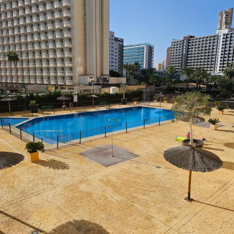 Benidorm Playa Levante Enrique Studio - Estudio con vistas a la piscina - 3