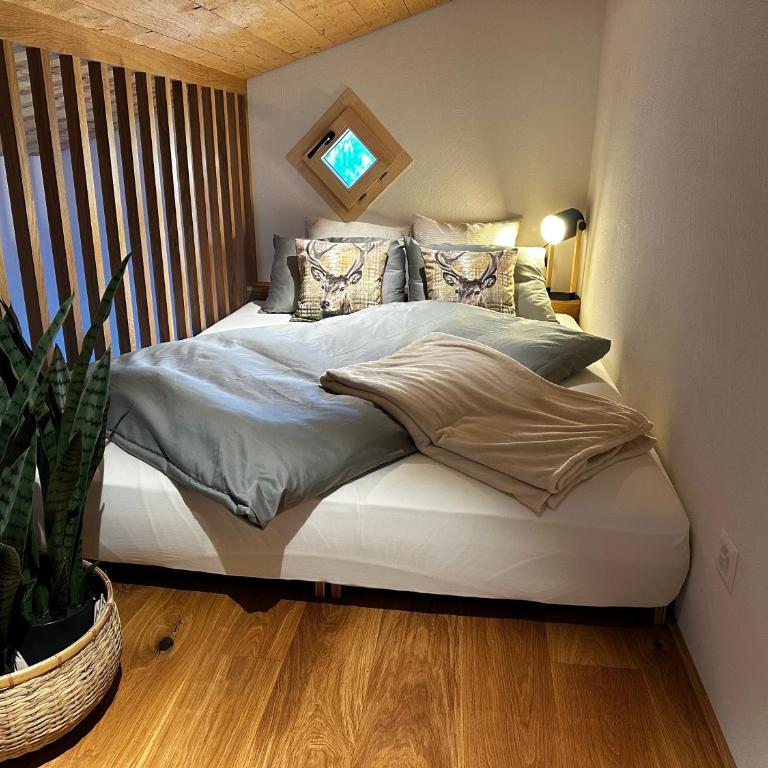 Casa Ladina 4 - Apartment mit 3 Schlafzimmern - 48