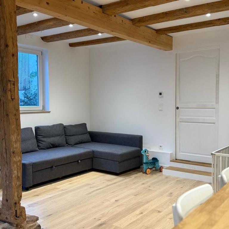 Le Nid Alsacien - 80 m2 avec terrasse et jardin - Appartement 2 Chambres - 13