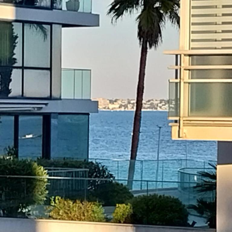 Palm beach Cannes La Brise - Appartement 1 Chambre - 25