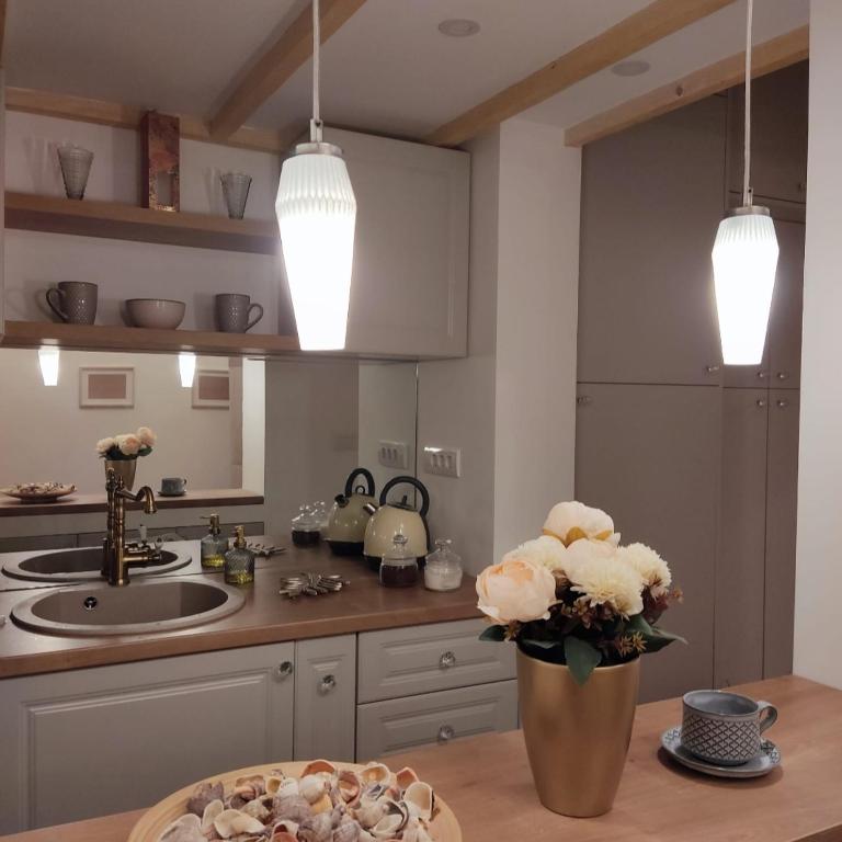 Skadarlija apartman - Apartman sa 2 Spavaće Sobe - 27