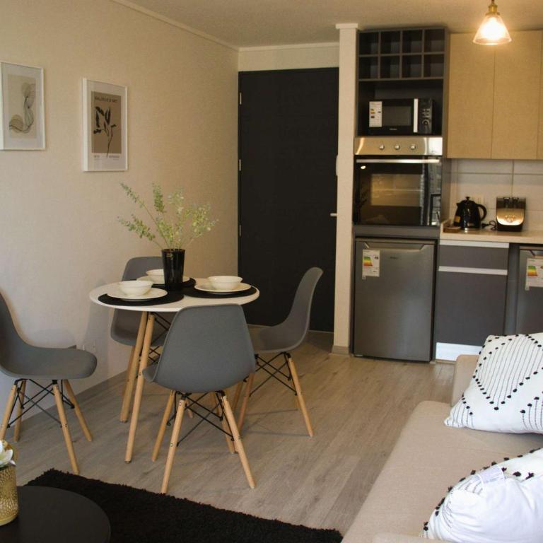 HOM I Comodo Nuevo Depto 1D1B 2PAX Santiago - Apartamento - 22