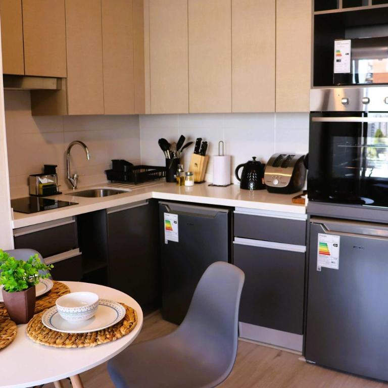 HOM I Hermoso y Comodo Depto 1D1B 2PAX Santiago - Apartamento - 2