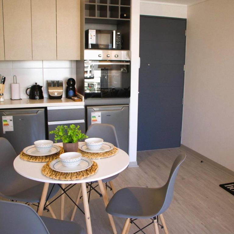 HOM I Hermoso y Comodo Depto 1D1B 2PAX Santiago - Apartamento - 9