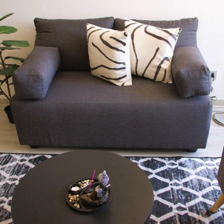 HOM I Hermoso y Comodo Depto 1D1B 2PAX Santiago - Apartamento - 10