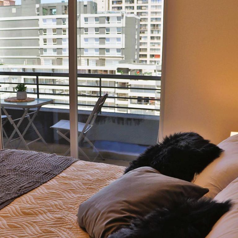 HOM I Hermoso y Comodo Depto 1D1B 2PAX Santiago - Apartamento - 15