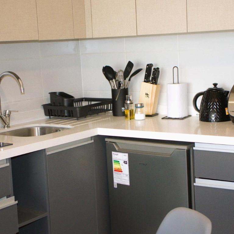 HOM I Hermoso y Comodo Depto 1D1B 2PAX Santiago - Apartamento - 34