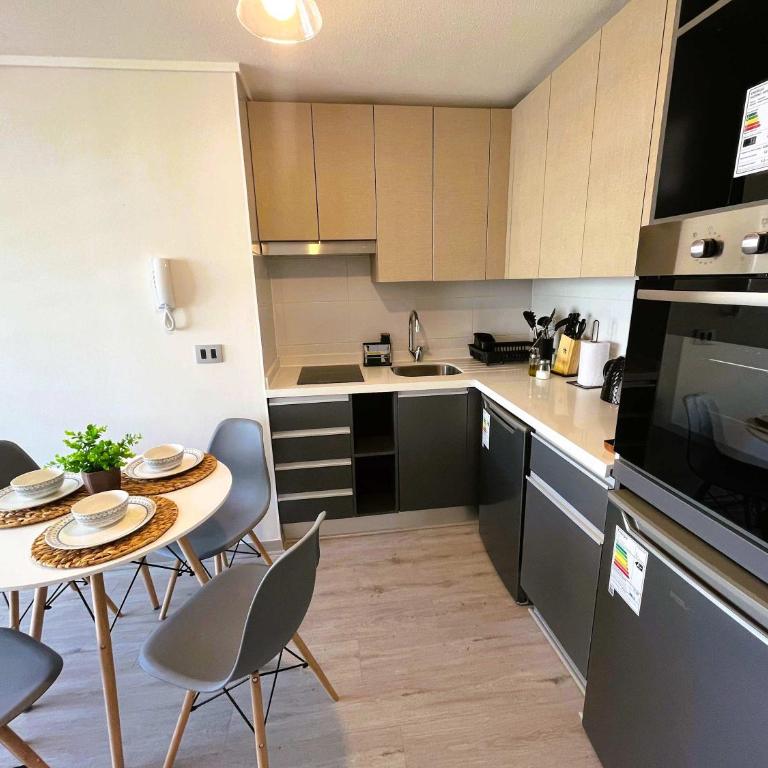 HOM I Hermoso y Comodo Depto 1D1B 2PAX Santiago - Apartamento - 42