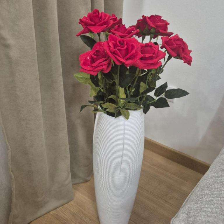 Bella Vacanza Apartment - Apartman sa 1 Spavaćom Sobom - 10