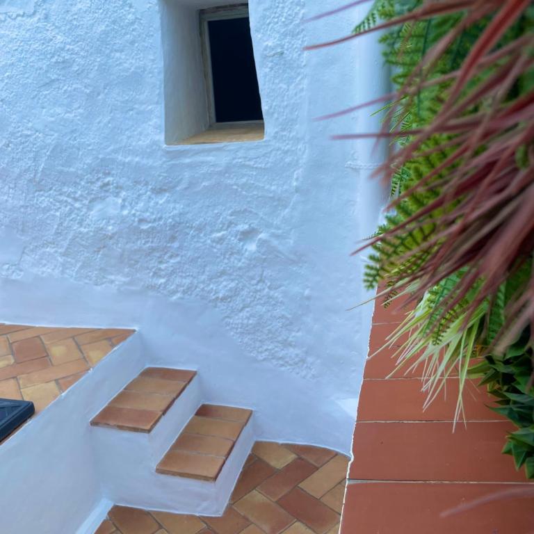 CASA MÚA - Apartamento de 1 dormitorio - 45