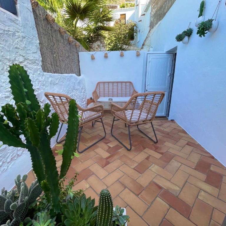 CASA MÚA - Apartamento de 1 dormitorio - 2
