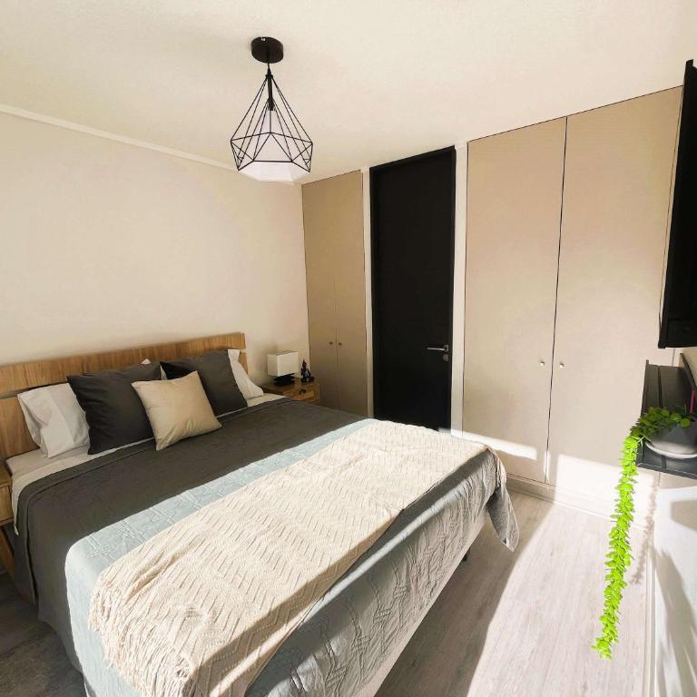 De baja depto CF PAGADO - Apartment - 36
