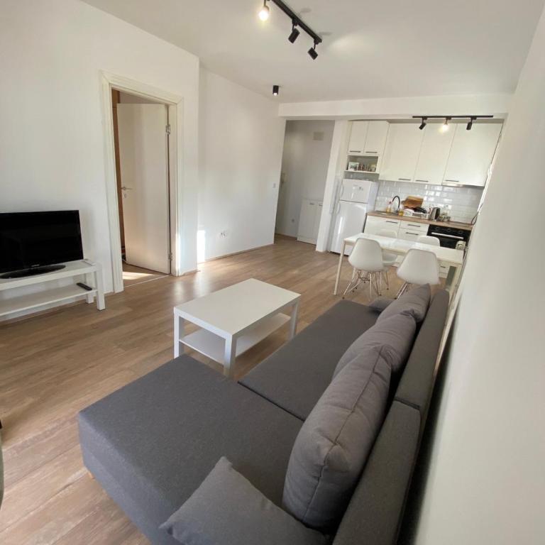 Belgrade Luxury Apartment Vračar - Apartman sa 1 Spavaćom Sobom - 10