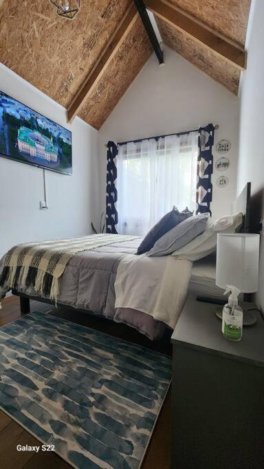 Cabaña en ambiente familiar - Apartamento de 1 dormitorio - 9