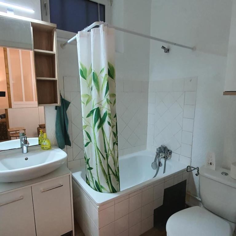 Studio charmant - Monolocale - 7