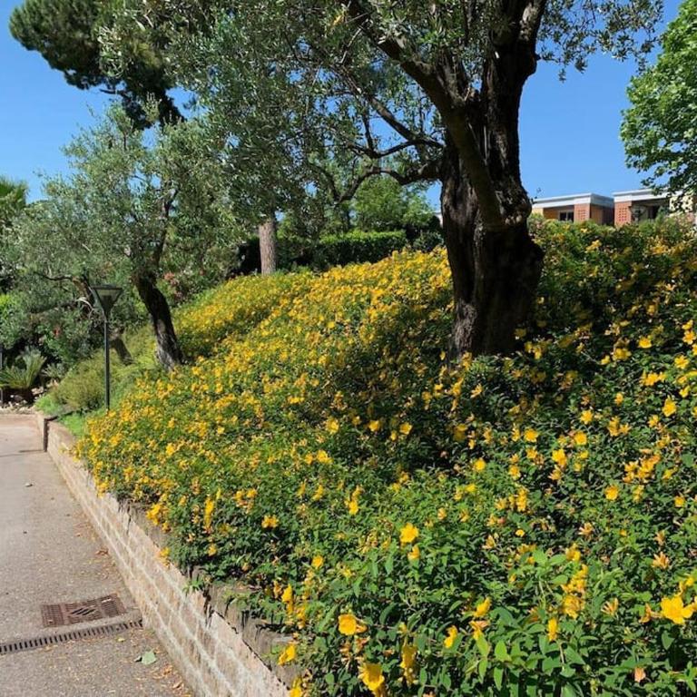 Luxury Lake View 2 Bed - Apartamento de 2 dormitorios - 30