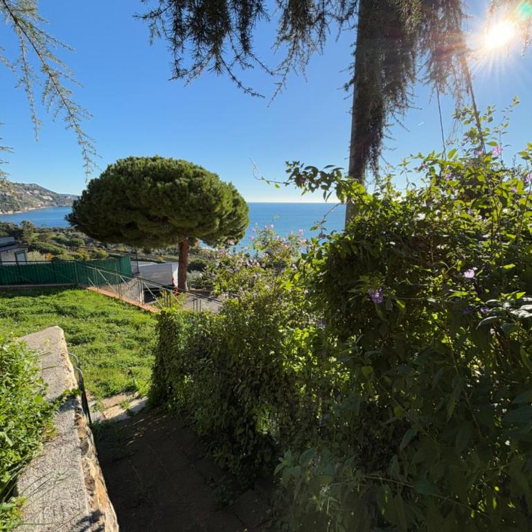 Il giardino del mare - Appartamento Classic - 27