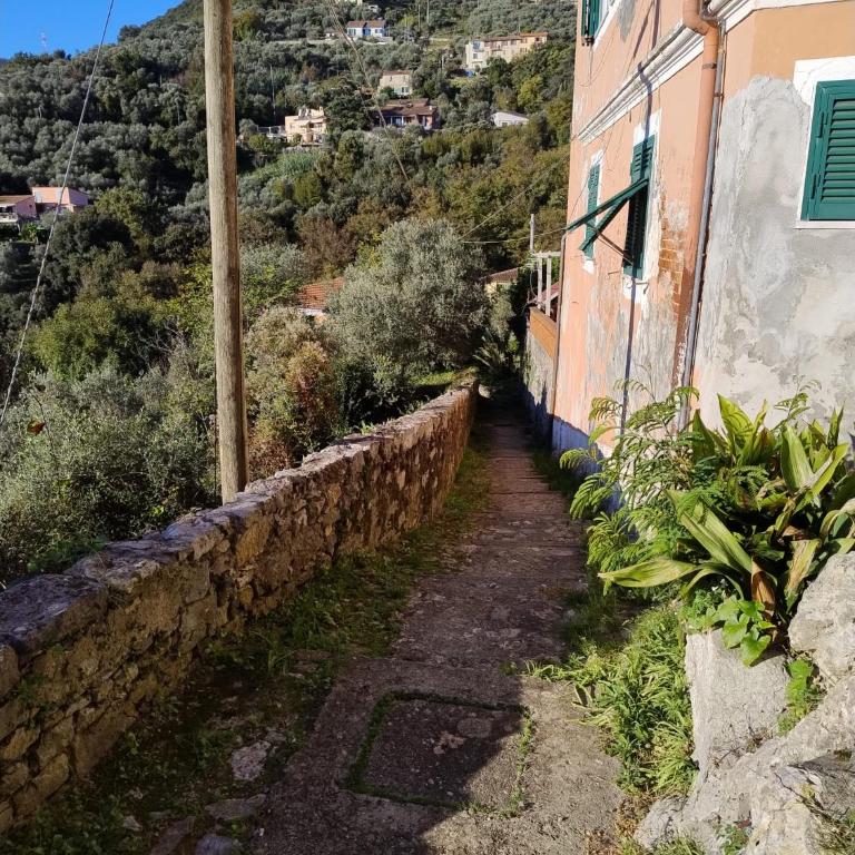 Conchiglia Magica Cinque Terre - Appartamento con 1 Camera da Letto - 5