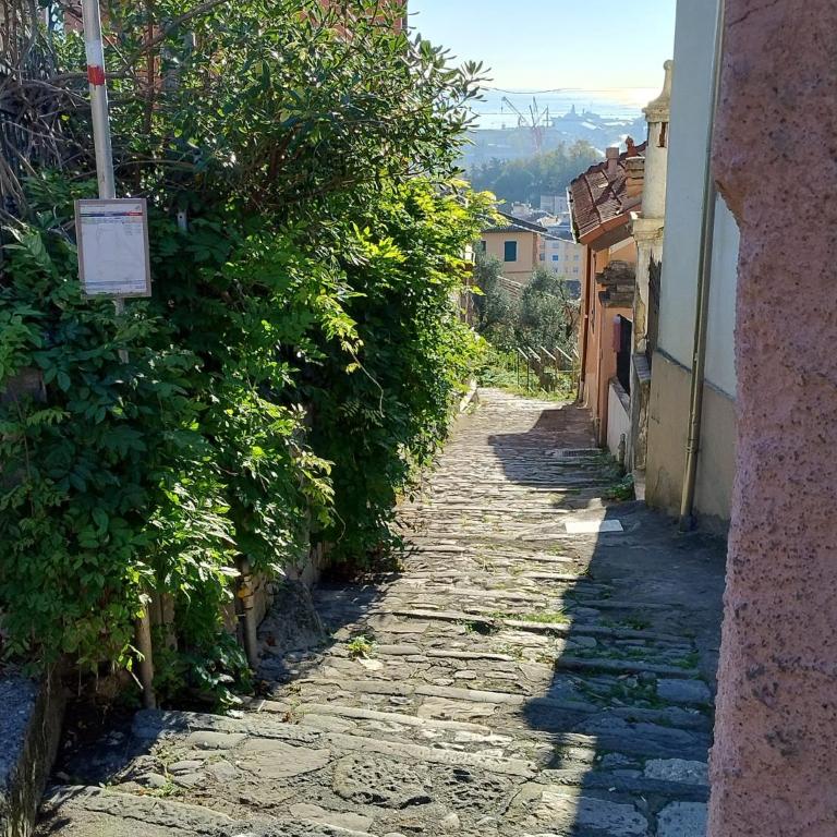 Conchiglia Magica Cinque Terre - Appartamento con 1 Camera da Letto - 3