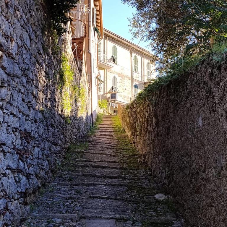Conchiglia Magica Cinque Terre - Appartamento con 1 Camera da Letto - 6