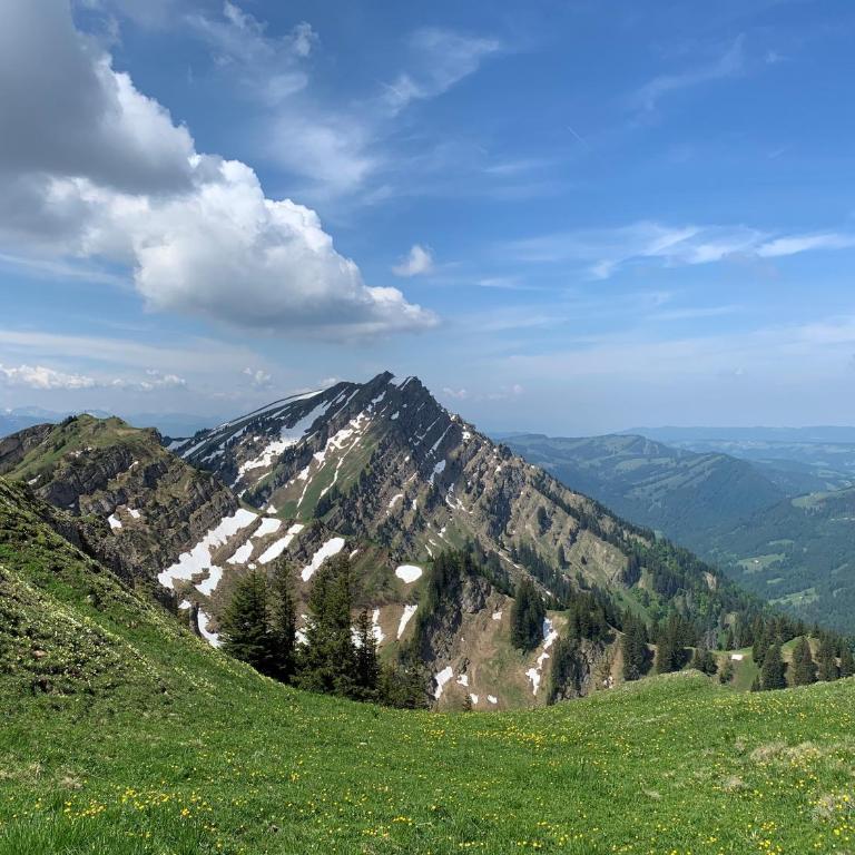 Allgäu Traum - Apartment mit 1 Schlafzimmer - 5