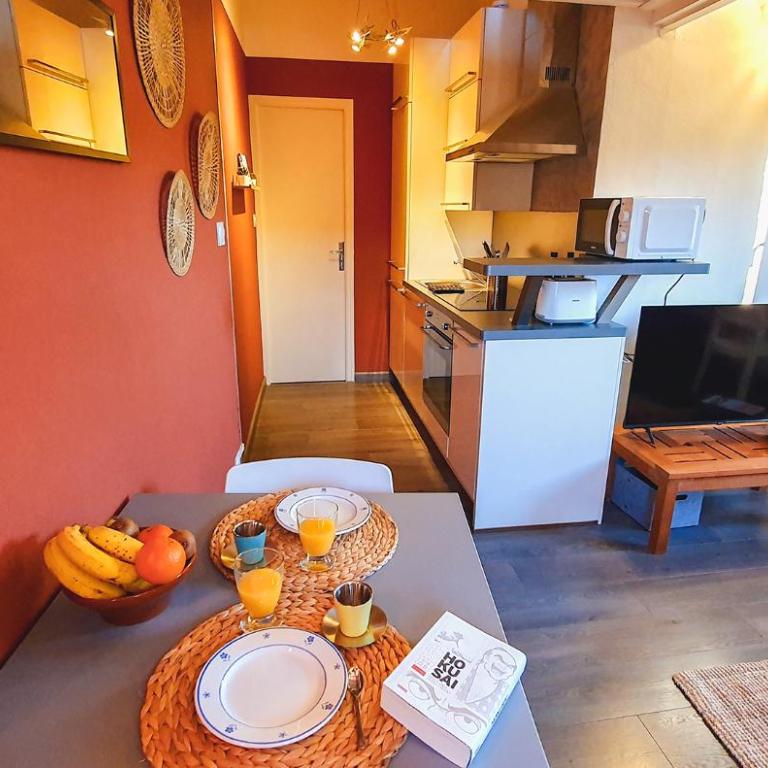 Le nid des Teinturiers - rooftop view - AC - One-Bedroom Apartment - 12