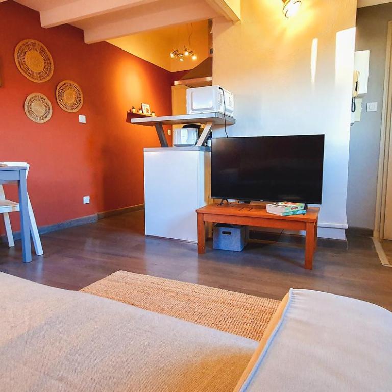 Le nid des Teinturiers - rooftop view - AC - One-Bedroom Apartment - 2