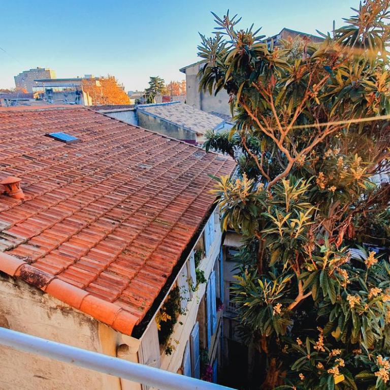Le nid des Teinturiers - rooftop view - AC - One-Bedroom Apartment - 24